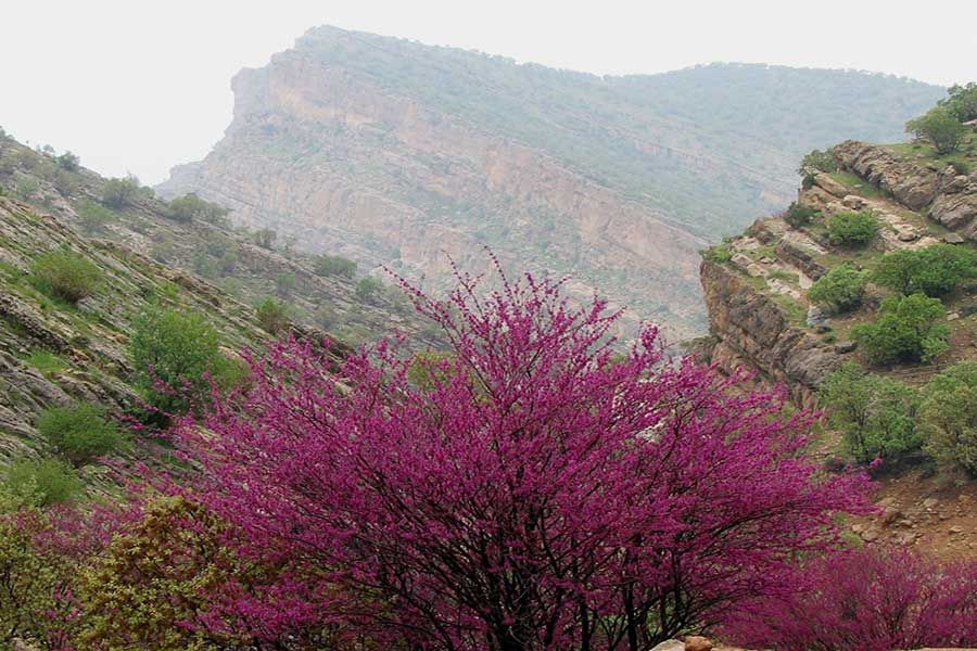 Arghavan Gorge