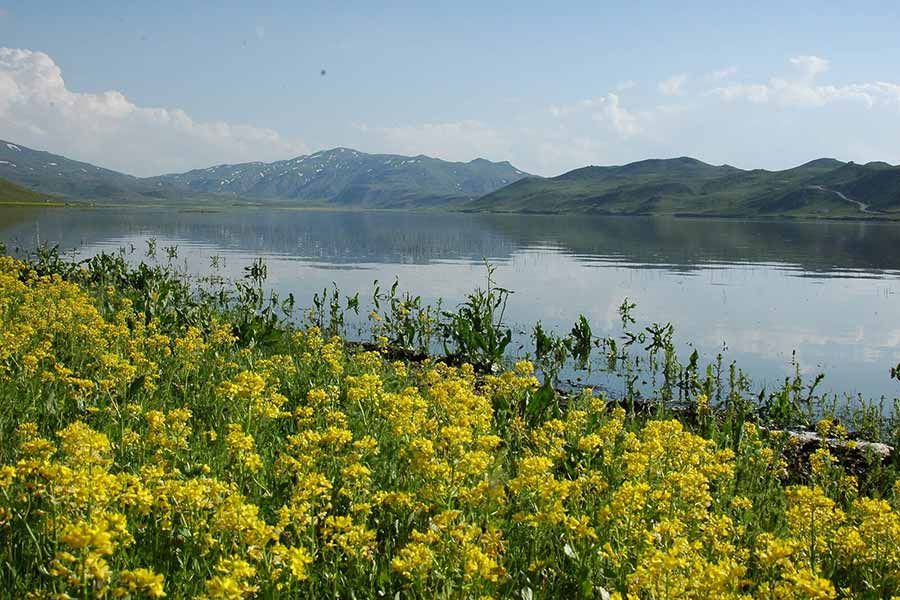 Neor Lake
