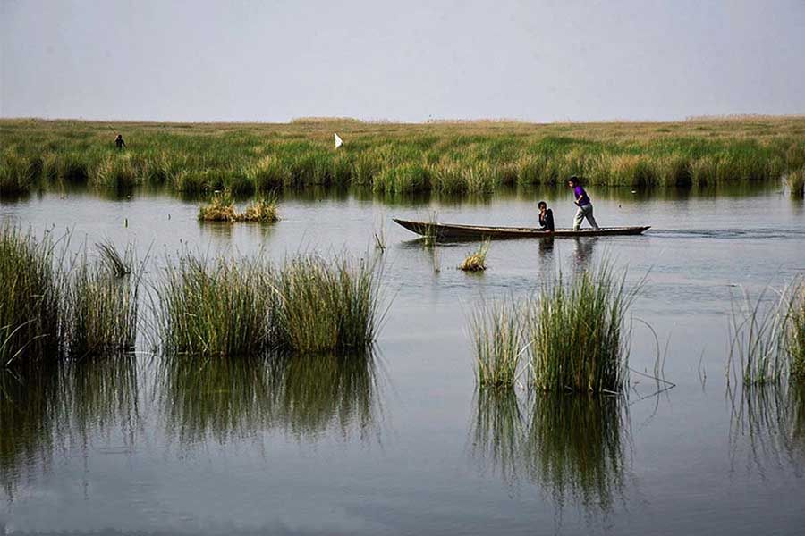 Shadegan