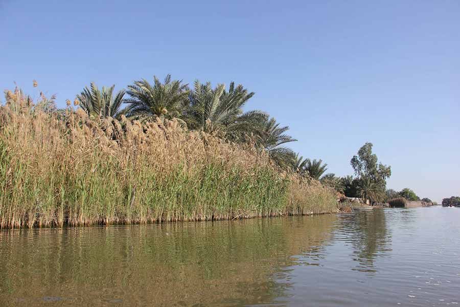 Shadegan Lagoon