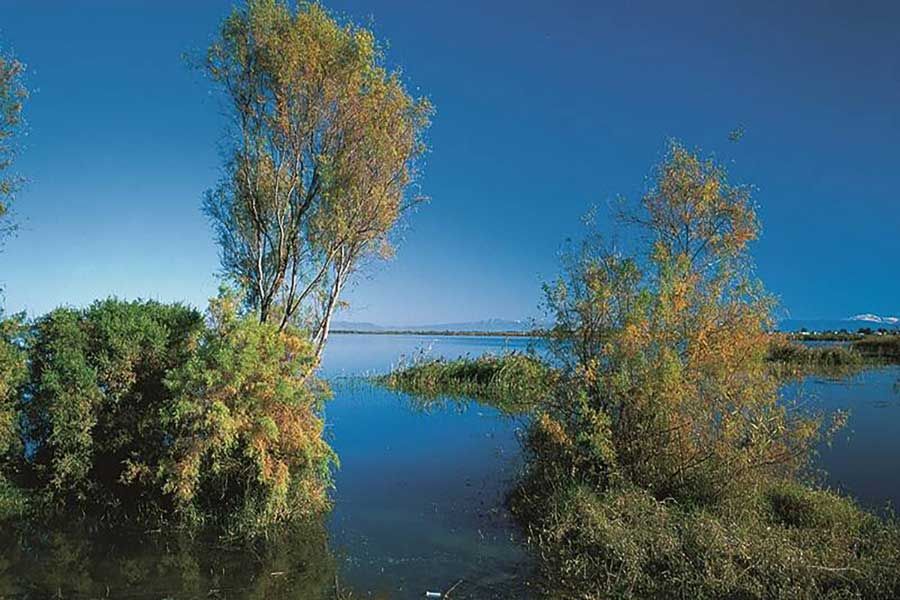 Alagol, Almagol, and Ajigol Wetlands