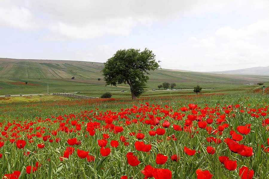 Kalpoosh Plain in Semnan