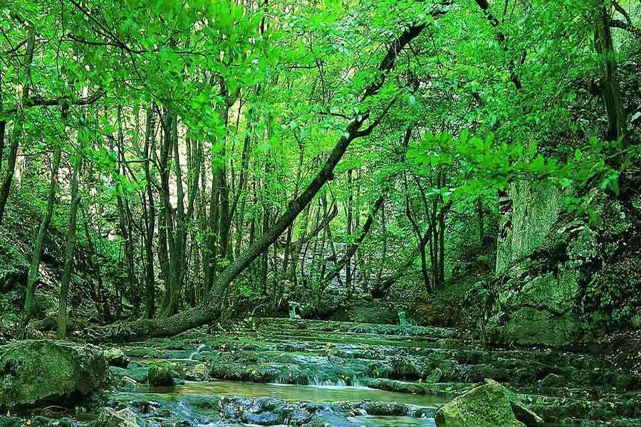 Golestan National Park