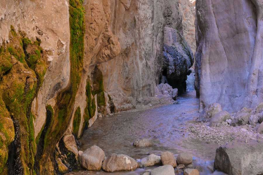 Morteza Ali Fountain