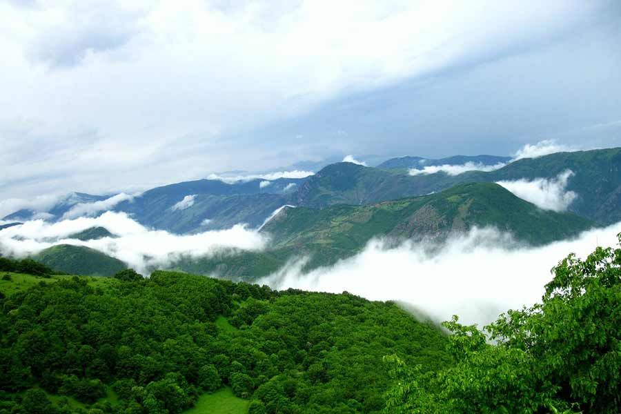 Arasbaran Forest